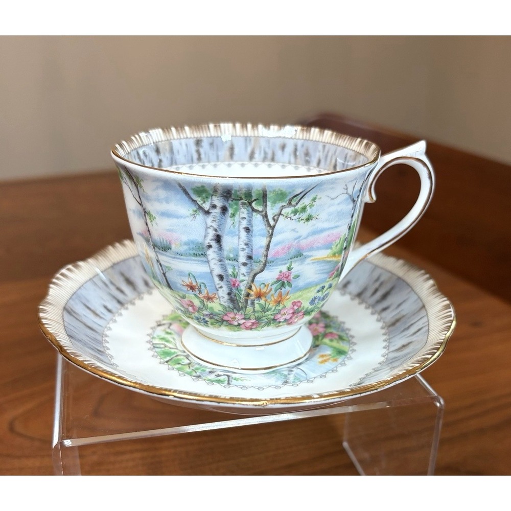 Vintage ROYAL ALBERT Bone China England SILVER BIRCH Set Cup & Saucer